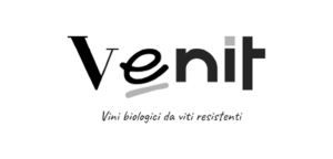 Logo Venit